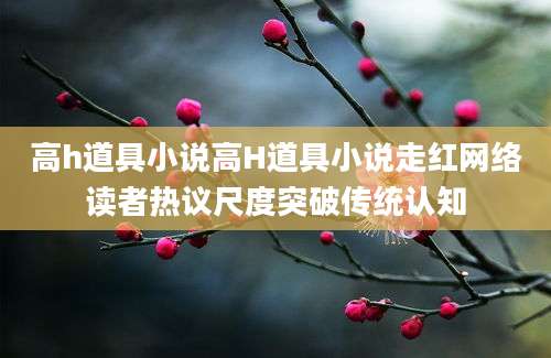 高h道具小说高H道具小说走红网络读者热议尺度突破传统认知