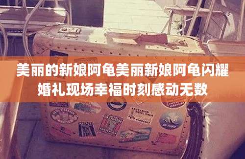 美丽的新娘阿龟美丽新娘阿龟闪耀婚礼现场幸福时刻感动无数