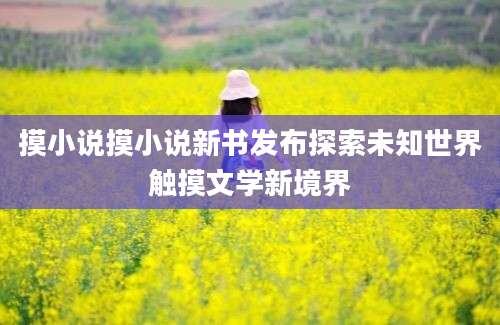 摸小说摸小说新书发布探索未知世界触摸文学新境界
