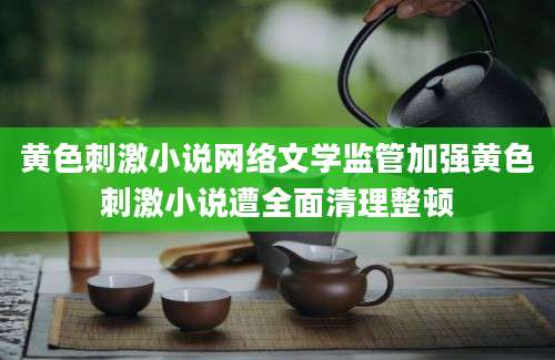 黄色刺激小说网络文学监管加强黄色刺激小说遭全面清理整顿