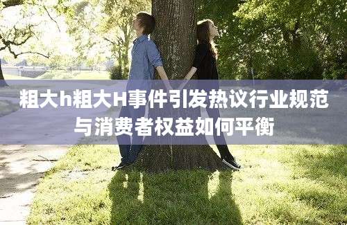 粗大h粗大H事件引发热议行业规范与消费者权益如何平衡