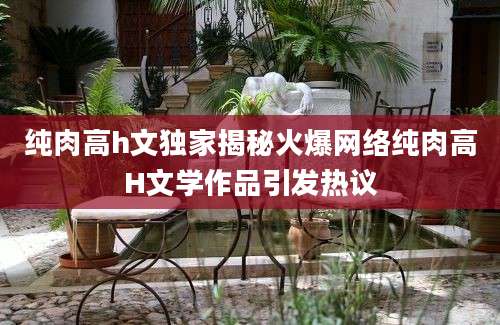 纯肉高h文独家揭秘火爆网络纯肉高H文学作品引发热议