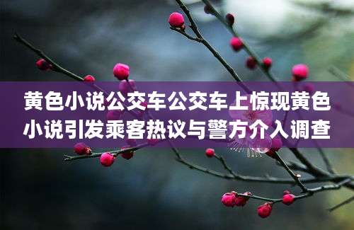 黄色小说公交车公交车上惊现黄色小说引发乘客热议与警方介入调查