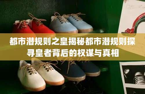 都市潜规则之皇揭秘都市潜规则探寻皇者背后的权谋与真相