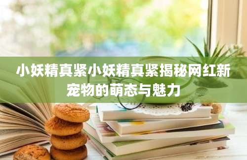 小妖精真紧小妖精真紧揭秘网红新宠物的萌态与魅力