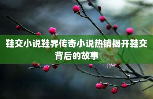 鞋交小说鞋界传奇小说热销揭开鞋交背后的故事