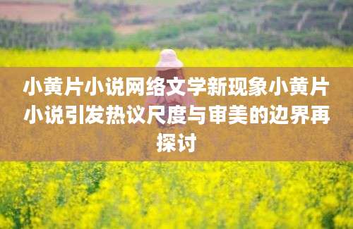小黄片小说网络文学新现象小黄片小说引发热议尺度与审美的边界再探讨