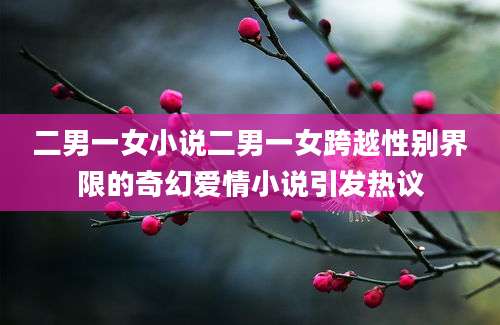 二男一女小说二男一女跨越性别界限的奇幻爱情小说引发热议