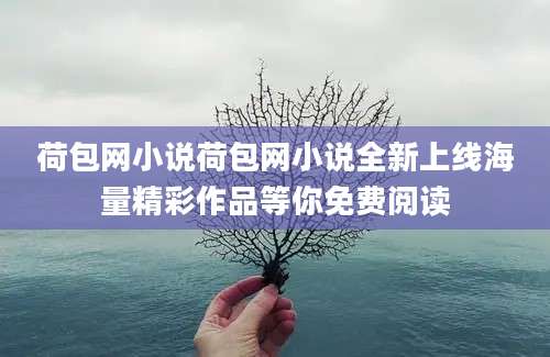 荷包网小说荷包网小说全新上线海量精彩作品等你免费阅读