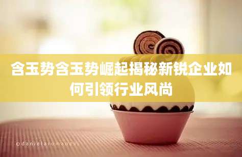 含玉势含玉势崛起揭秘新锐企业如何引领行业风尚