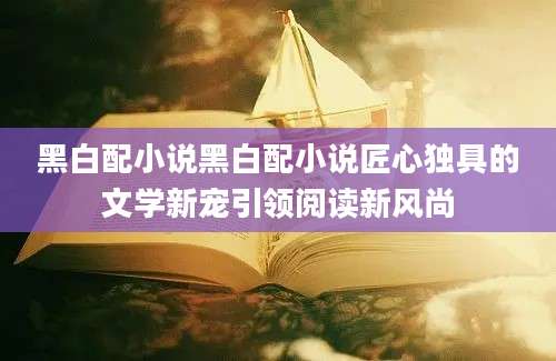 黑白配小说黑白配小说匠心独具的文学新宠引领阅读新风尚