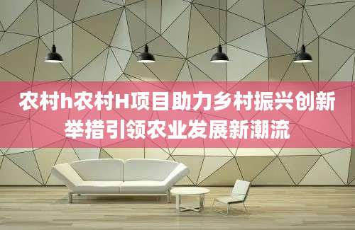 农村h农村H项目助力乡村振兴创新举措引领农业发展新潮流