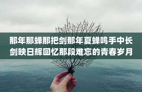 那年那蝉那把剑那年夏蝉鸣手中长剑映日辉回忆那段难忘的青春岁月