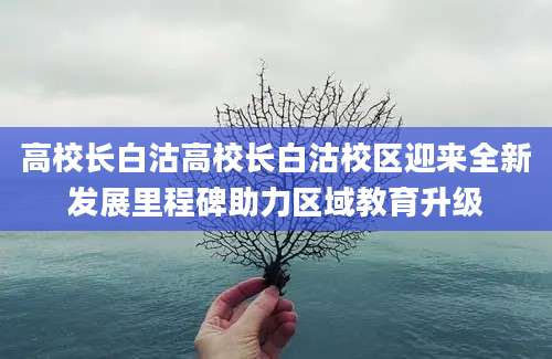 高校长白沽高校长白沽校区迎来全新发展里程碑助力区域教育升级