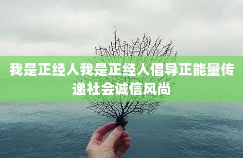 我是正经人我是正经人倡导正能量传递社会诚信风尚