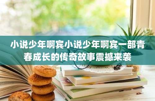 小说少年啊宾小说少年啊宾一部青春成长的传奇故事震撼来袭