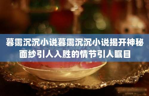 暮霭沉沉小说暮霭沉沉小说揭开神秘面纱引人入胜的情节引人瞩目