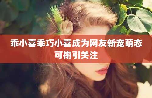 乖小喜乖巧小喜成为网友新宠萌态可掬引关注