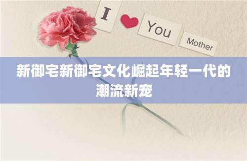 新御宅新御宅文化崛起年轻一代的潮流新宠
