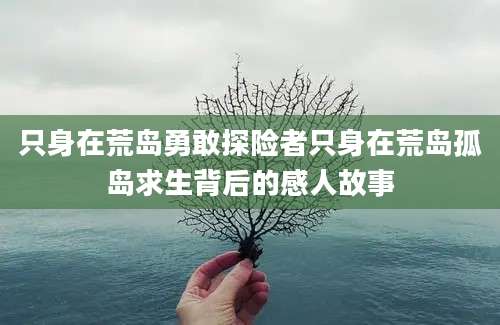 只身在荒岛勇敢探险者只身在荒岛孤岛求生背后的感人故事