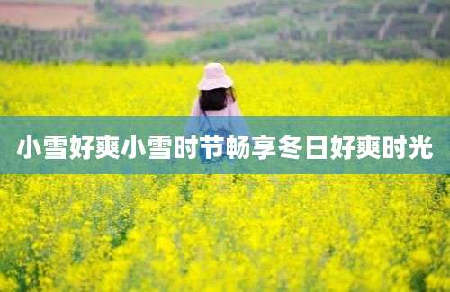 小雪好爽小雪时节畅享冬日好爽时光