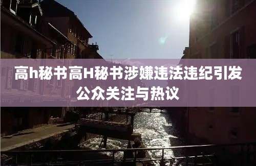 高h秘书高H秘书涉嫌违法违纪引发公众关注与热议