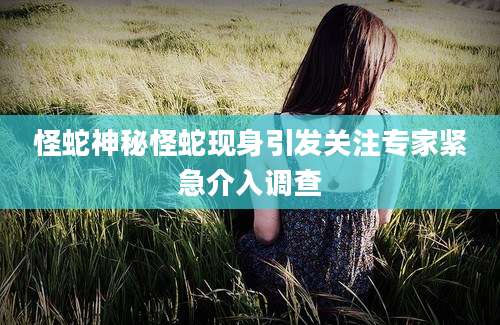 怪蛇神秘怪蛇现身引发关注专家紧急介入调查
