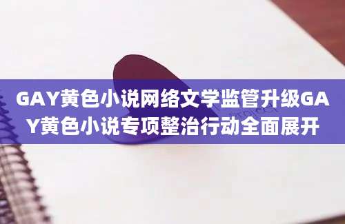 GAY黄色小说网络文学监管升级GAY黄色小说专项整治行动全面展开