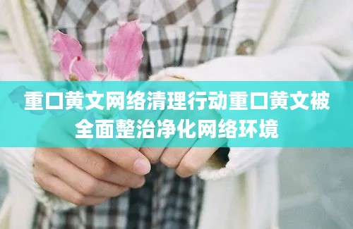 重口黄文网络清理行动重口黄文被全面整治净化网络环境