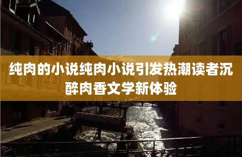 纯肉的小说纯肉小说引发热潮读者沉醉肉香文学新体验