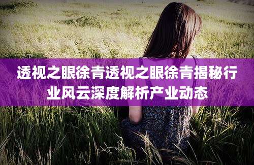 透视之眼徐青透视之眼徐青揭秘行业风云深度解析产业动态