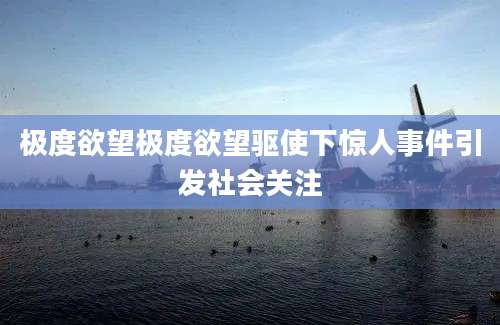 极度欲望极度欲望驱使下惊人事件引发社会关注