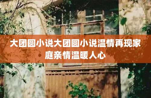 大团圆小说大团圆小说温情再现家庭亲情温暖人心