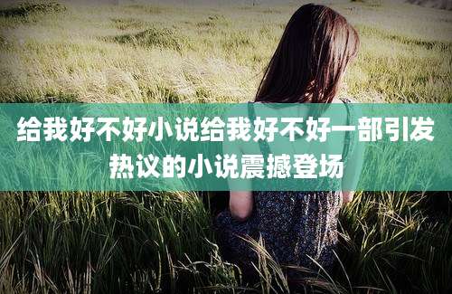 给我好不好小说给我好不好一部引发热议的小说震撼登场
