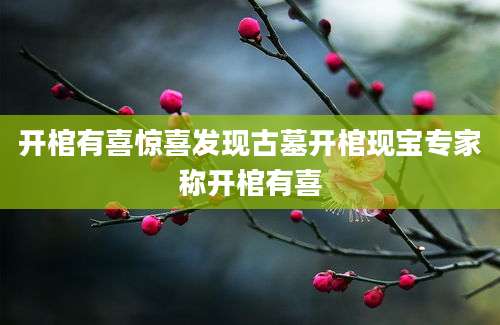 开棺有喜惊喜发现古墓开棺现宝专家称开棺有喜