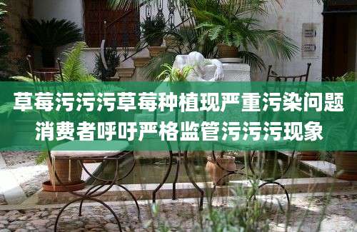 草莓污污污草莓种植现严重污染问题消费者呼吁严格监管污污污现象