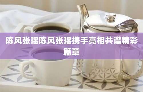陈风张瑶陈风张瑶携手亮相共谱精彩篇章