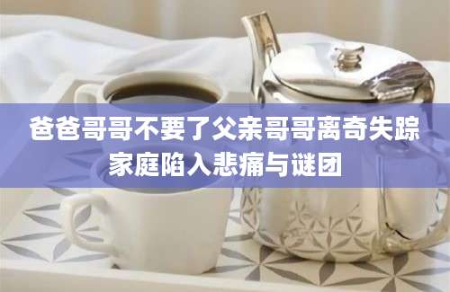 爸爸哥哥不要了父亲哥哥离奇失踪家庭陷入悲痛与谜团