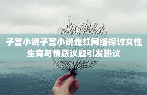 子宫小说子宫小说走红网络探讨女性生育与情感议题引发热议