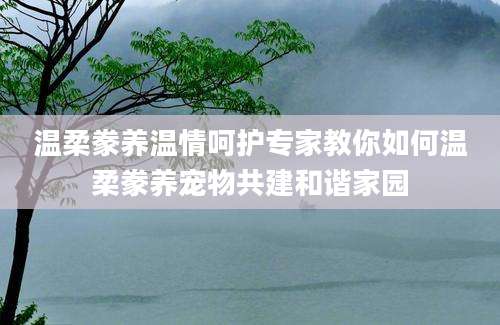 温柔豢养温情呵护专家教你如何温柔豢养宠物共建和谐家园