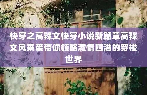快穿之高辣文快穿小说新篇章高辣文风来袭带你领略激情四溢的穿梭世界