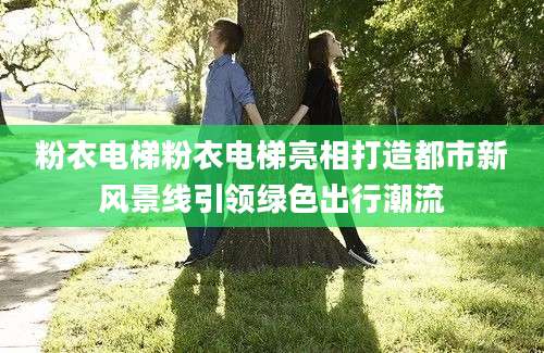 粉衣电梯粉衣电梯亮相打造都市新风景线引领绿色出行潮流
