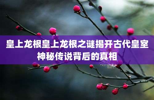 皇上龙根皇上龙根之谜揭开古代皇室神秘传说背后的真相