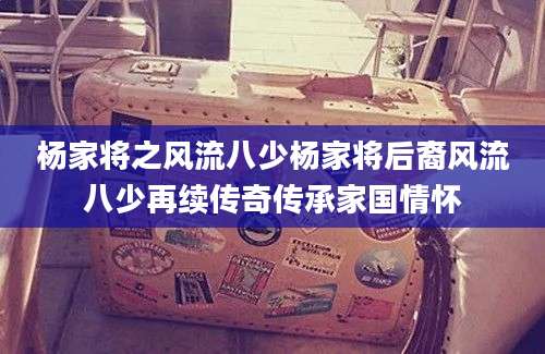 杨家将之风流八少杨家将后裔风流八少再续传奇传承家国情怀