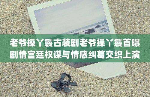 老爷操丫鬟古装剧老爷操丫鬟首曝剧情宫廷权谋与情感纠葛交织上演
