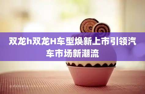 双龙h双龙H车型焕新上市引领汽车市场新潮流