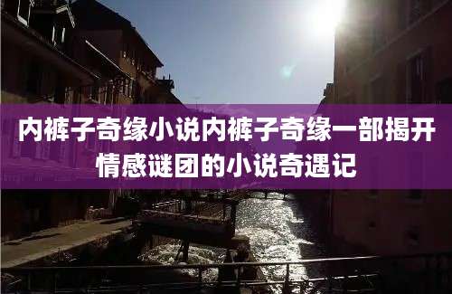 内裤子奇缘小说内裤子奇缘一部揭开情感谜团的小说奇遇记