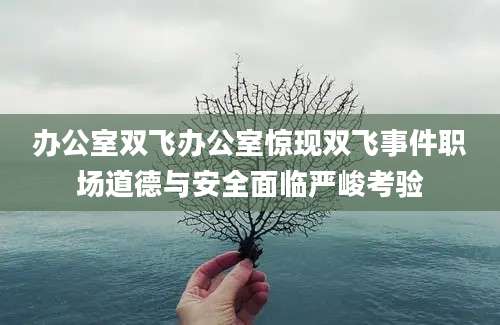 办公室双飞办公室惊现双飞事件职场道德与安全面临严峻考验