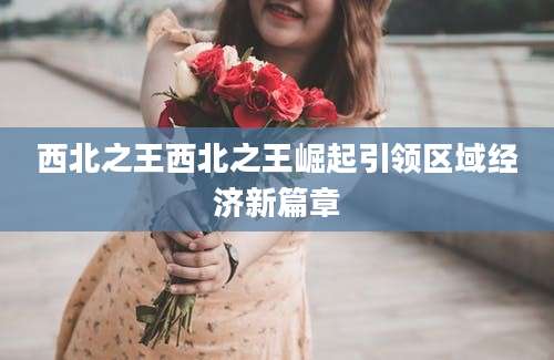 西北之王西北之王崛起引领区域经济新篇章