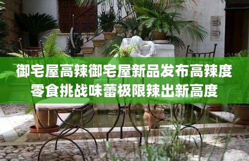 御宅屋高辣御宅屋新品发布高辣度零食挑战味蕾极限辣出新高度